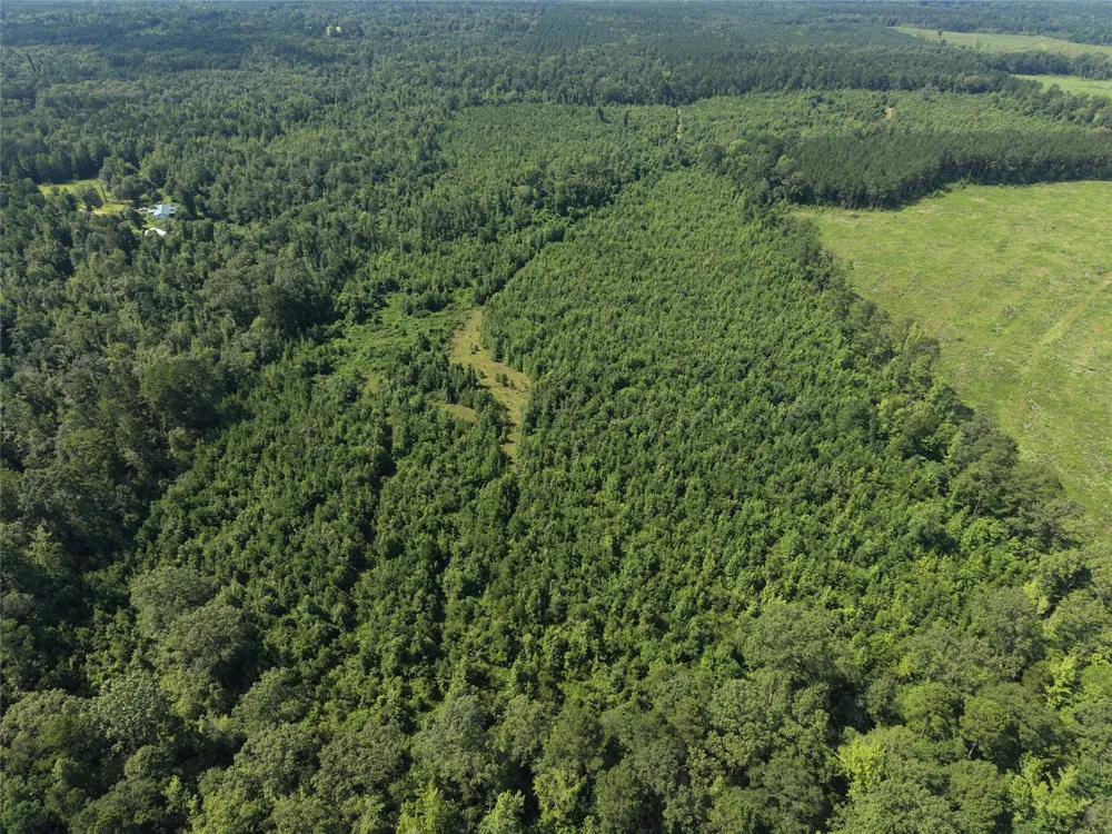 County road 2339 Marietta, TX 75566