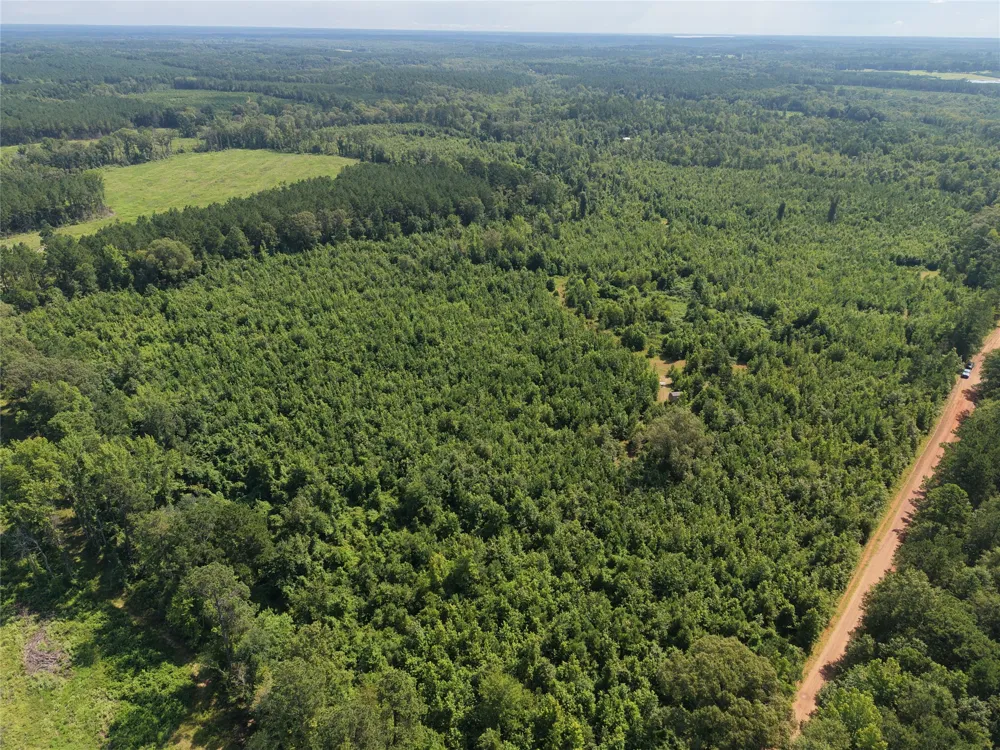 County road 2339 Marietta, TX 75566