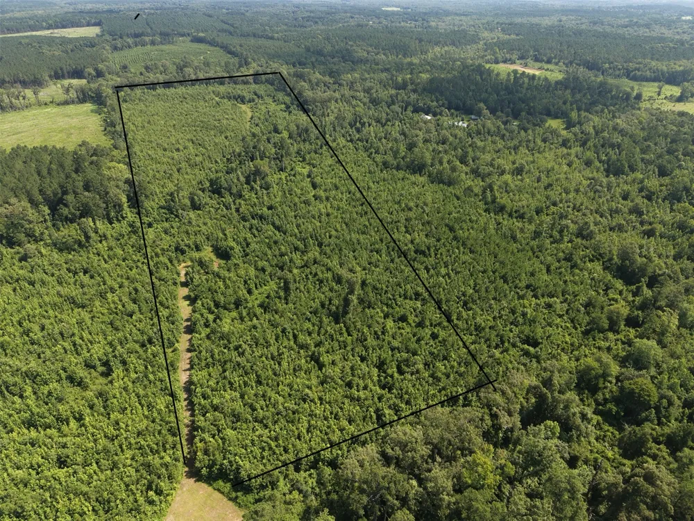 County road 2339 Marietta, TX 75566