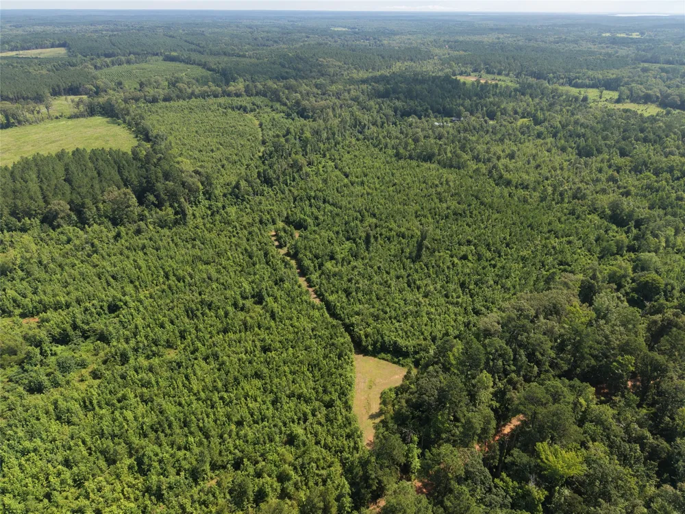 County road 2339 Marietta, TX 75566