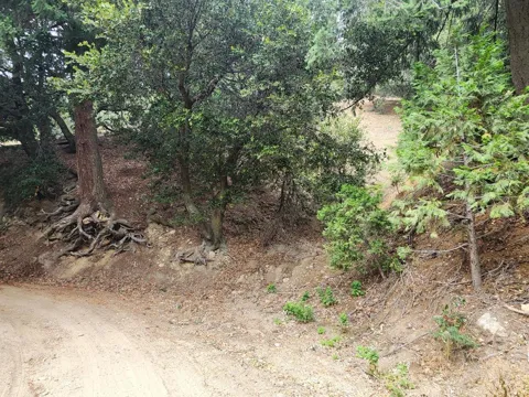 Fern Canyon Road