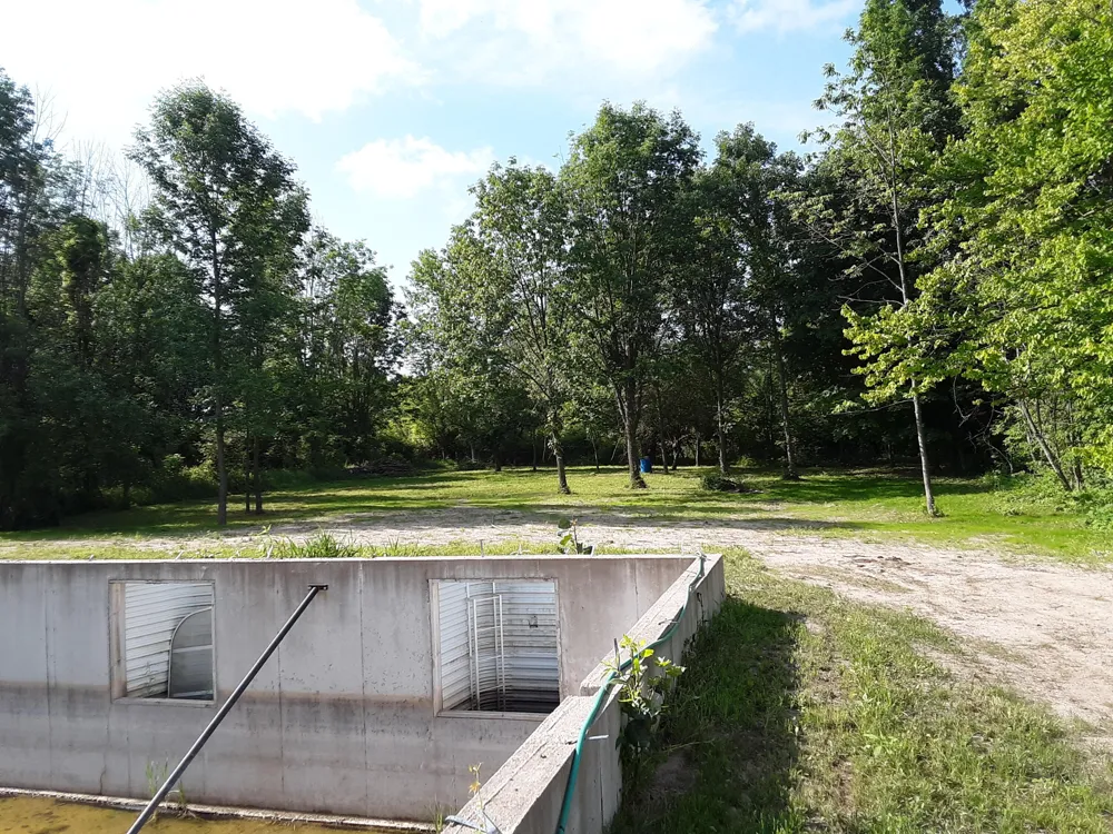 598 E North Street Hastings, MI 49058