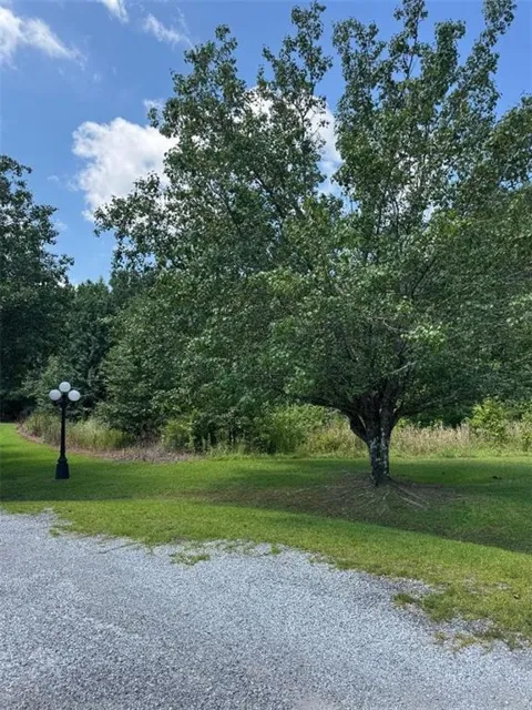 155 County Road 424