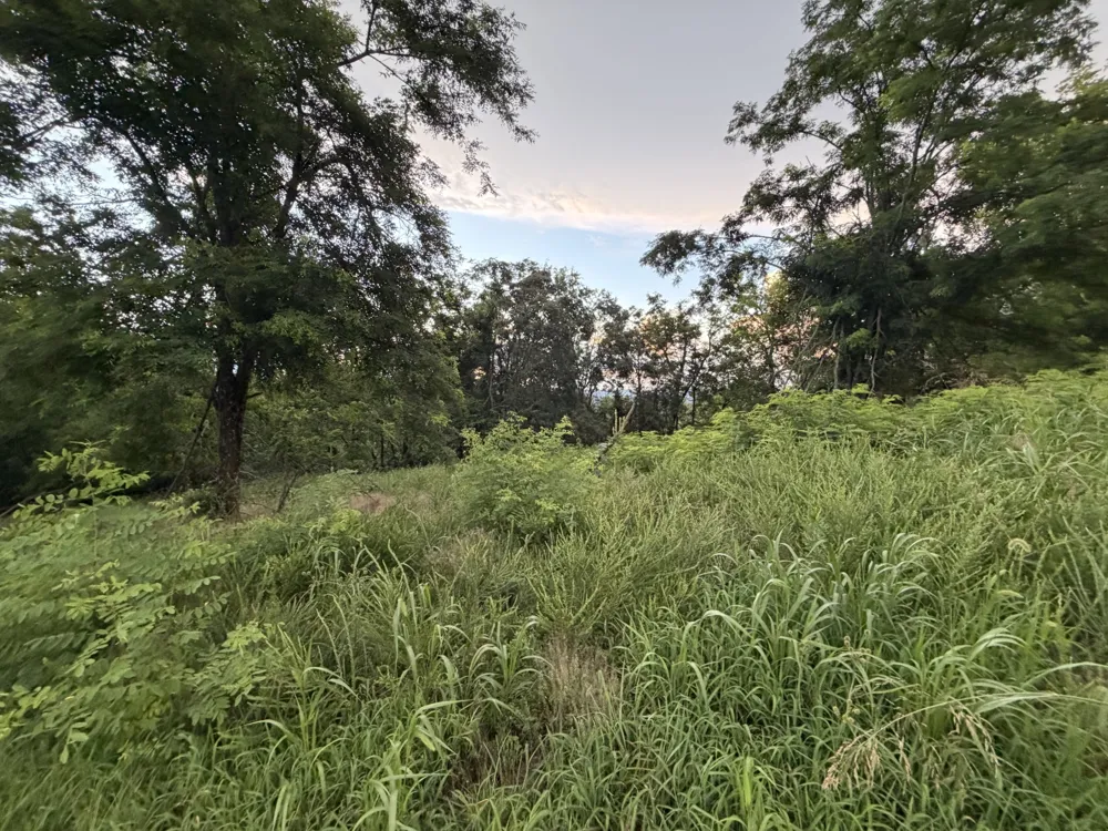 415 Canterbury Rise Franklin, TN 37067