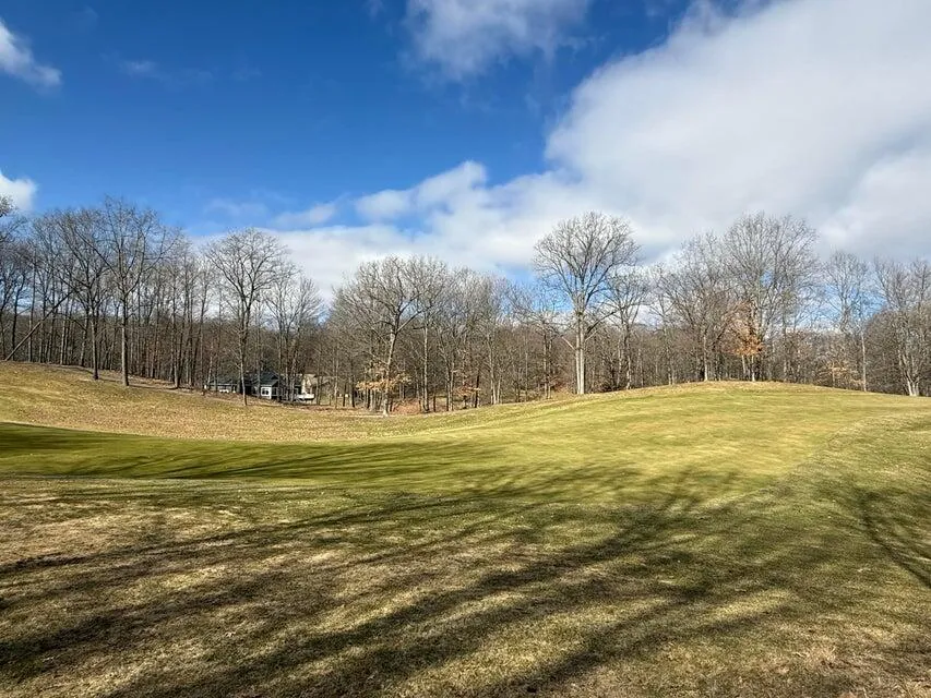 9689 Saint Ives Drive Stanwood, MI 49346
