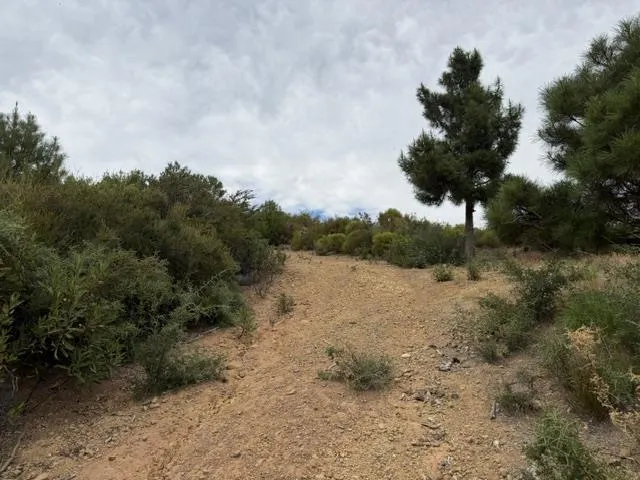 Mt Chul Morgan Hill, CA 95037