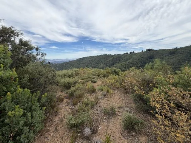 Mt Chul Morgan Hill, CA 95037
