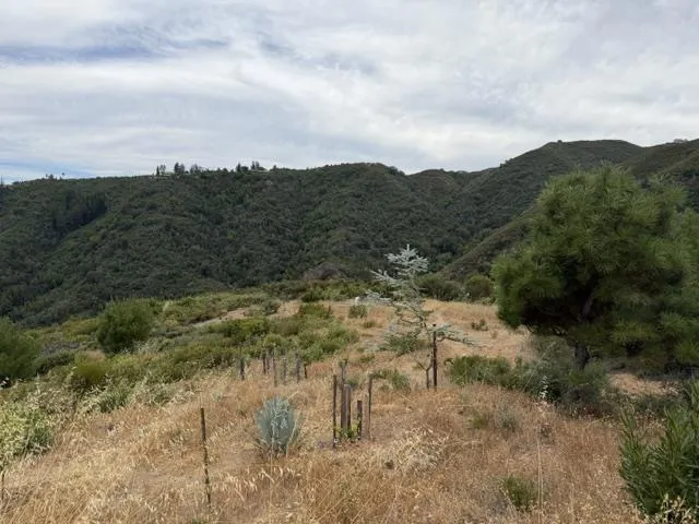 Mt Chul Morgan Hill, CA 95037