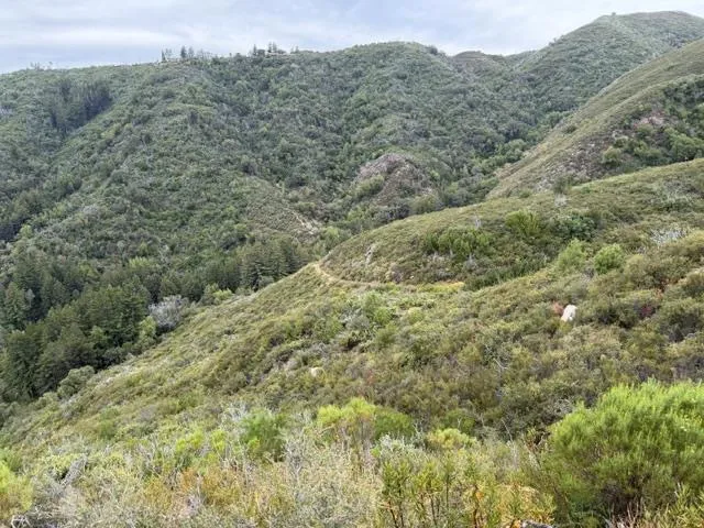 Mt Chul Morgan Hill, CA 95037