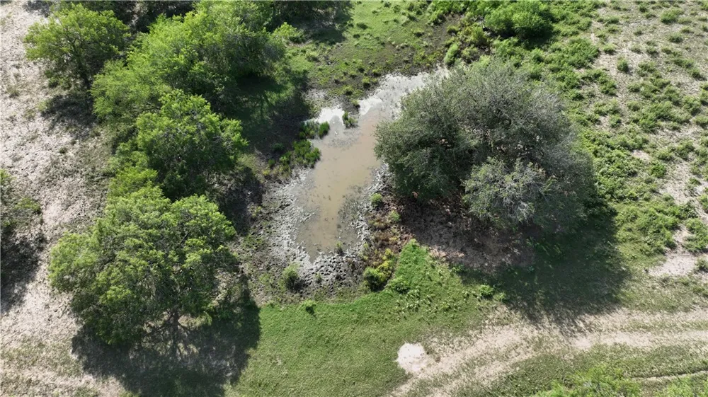 571 FM 799 George West, TX 78022