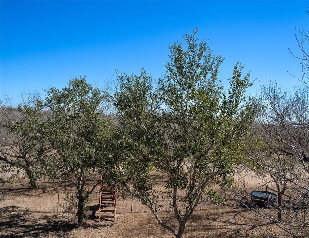 571 FM 799 George West, TX 78022
