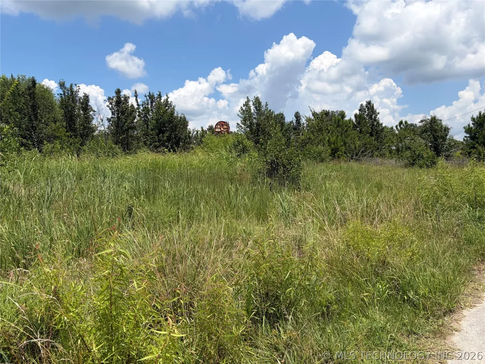 703 E Harrison Street Bristow, OK 74010