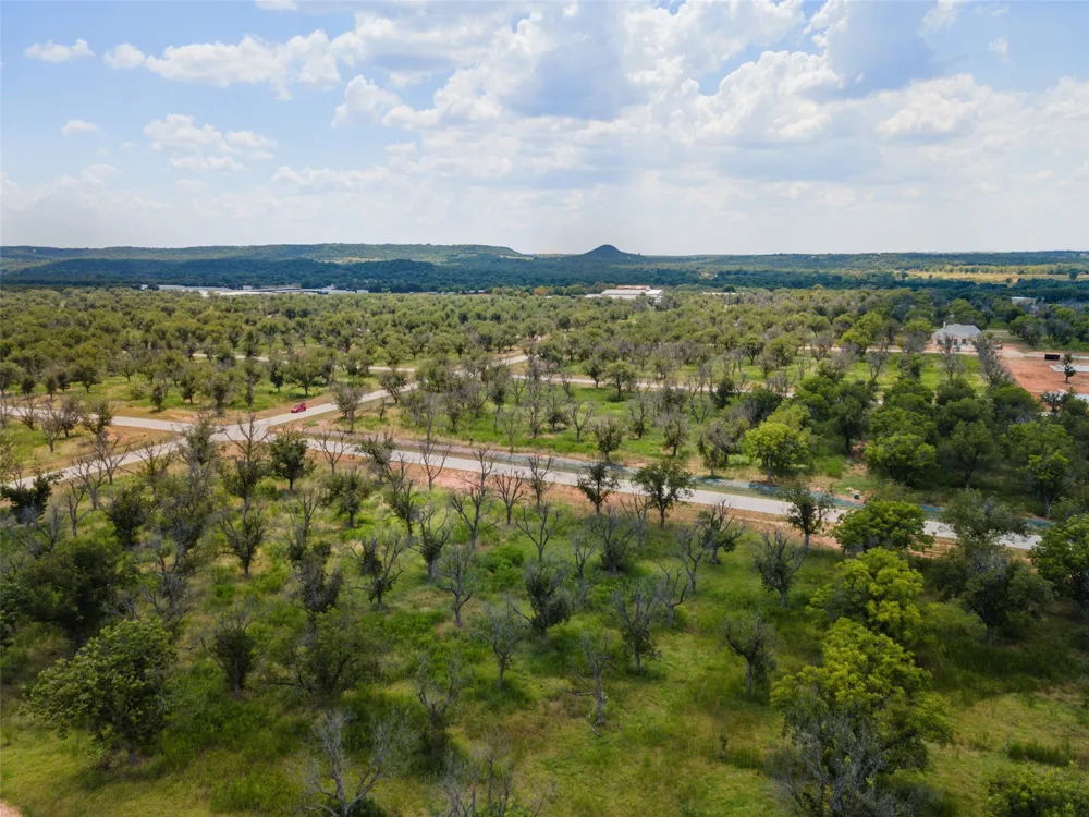 1336 Cirrus Loop Granbury, TX 76049