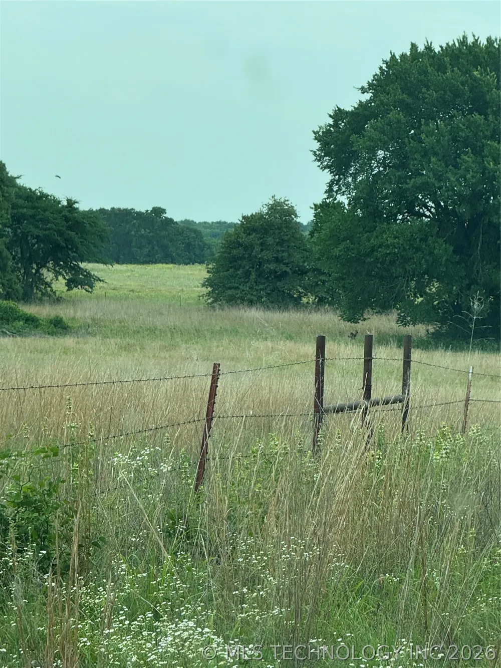 239 Snipe Lone Grove, OK 73443