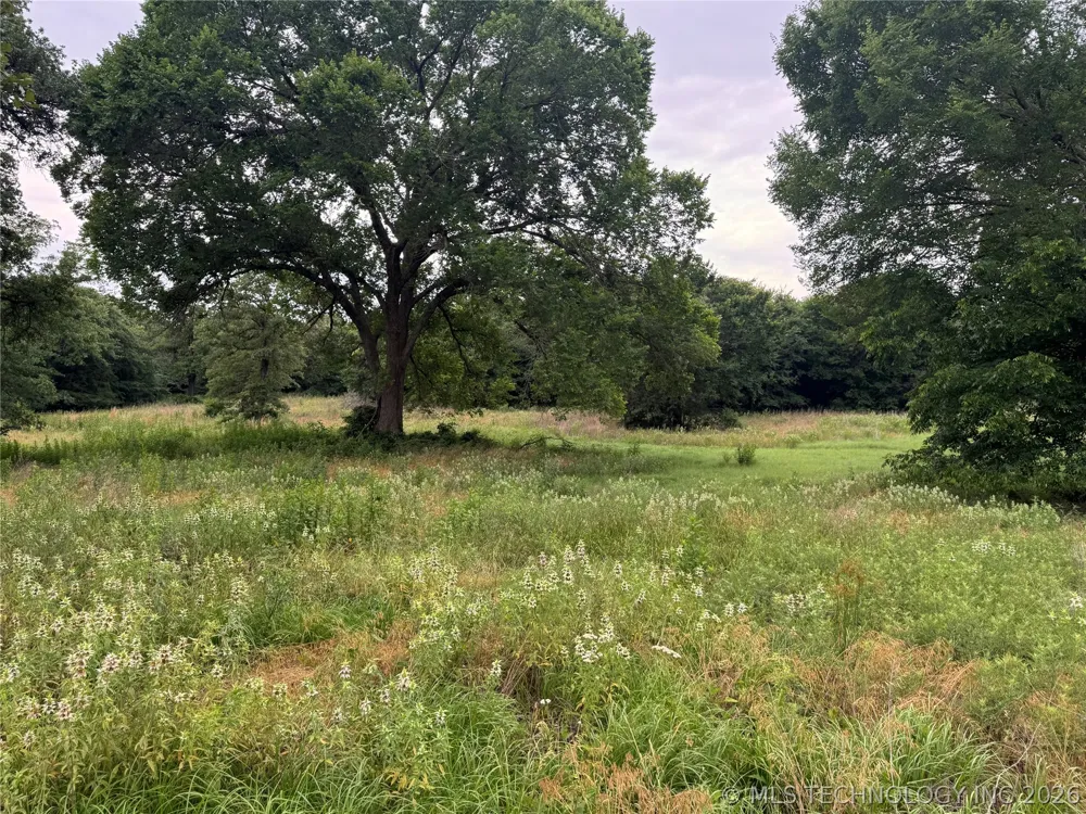 239 Snipe Lone Grove, OK 73443