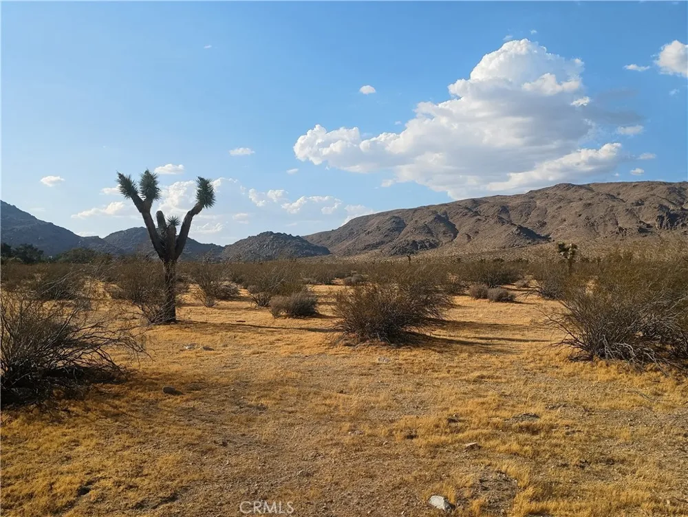 12963 Sunset Drive Lucerne Valley, CA 92356
