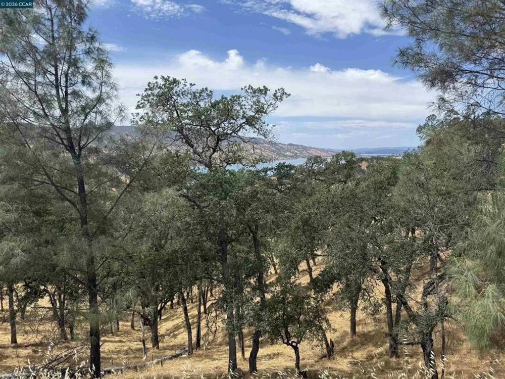1123 Steele Canyon Rd. Napa, CA 94558