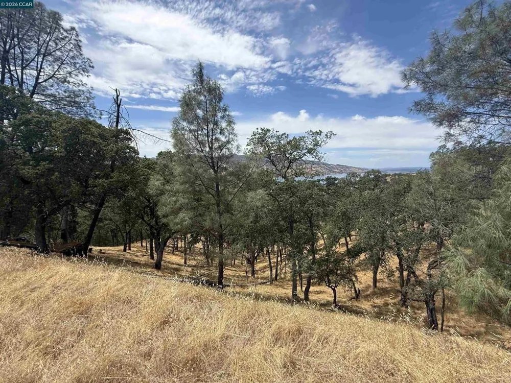 1123 Steele Canyon Rd. Napa, CA 94558