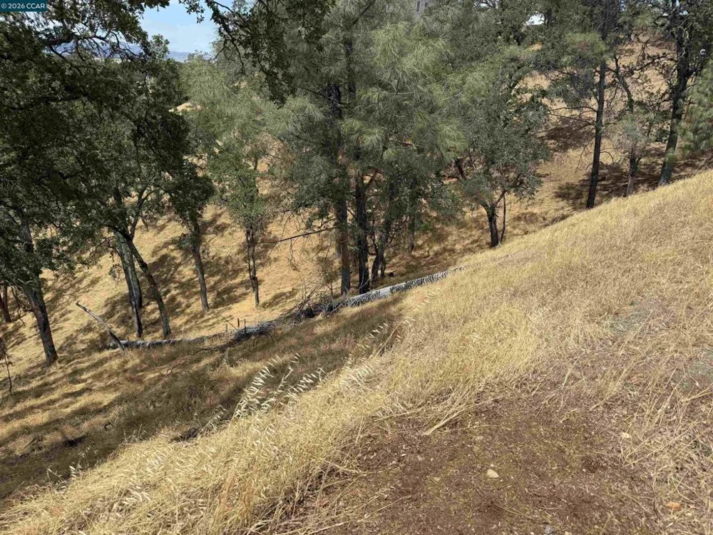 1123 Steele Canyon Rd. Napa, CA 94558