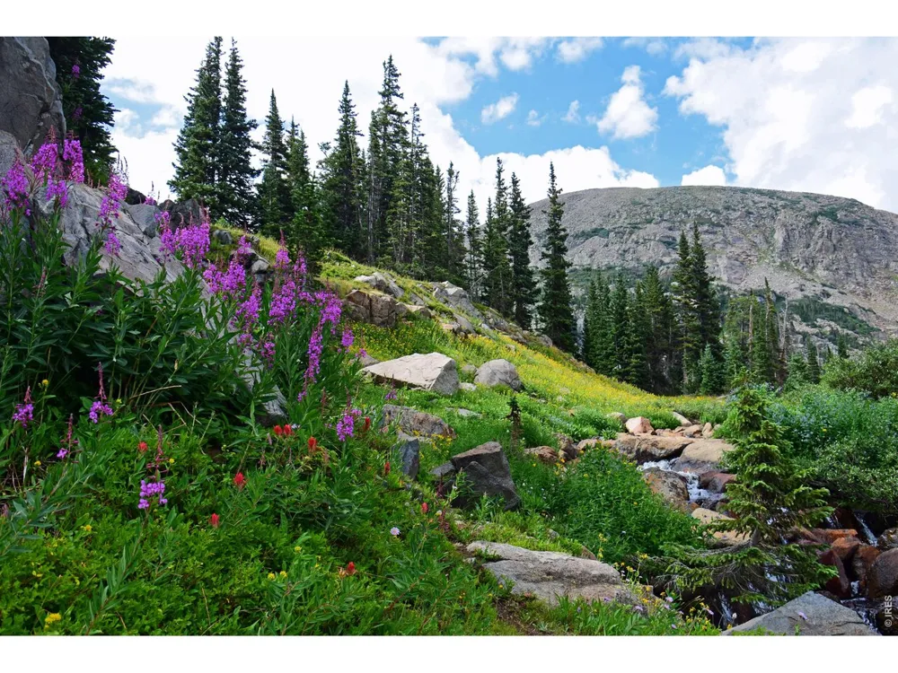 250 Eldora Road Nederland, CO 80466
