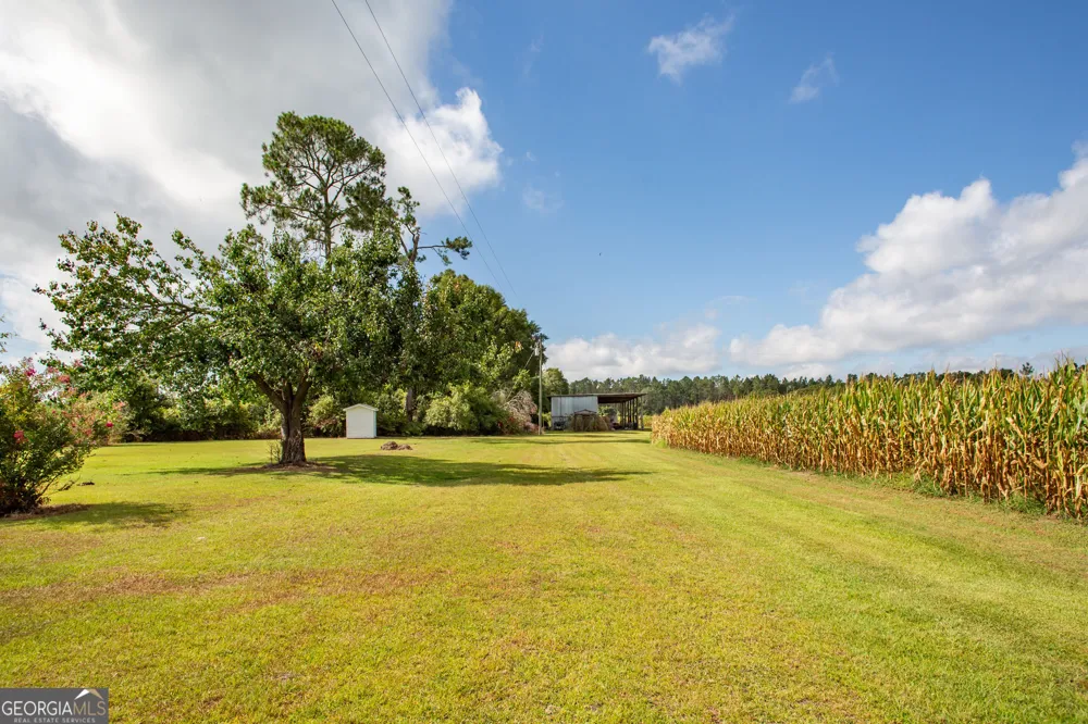 596 Teakwood RD Alma, GA 31510