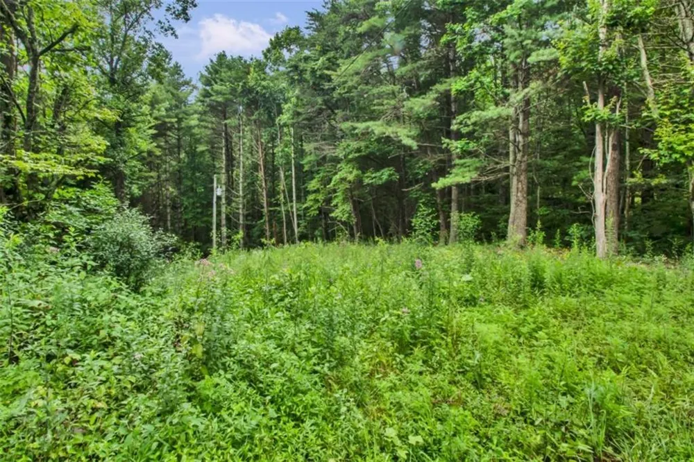 265 Holly Hill Road Suches, GA 30572