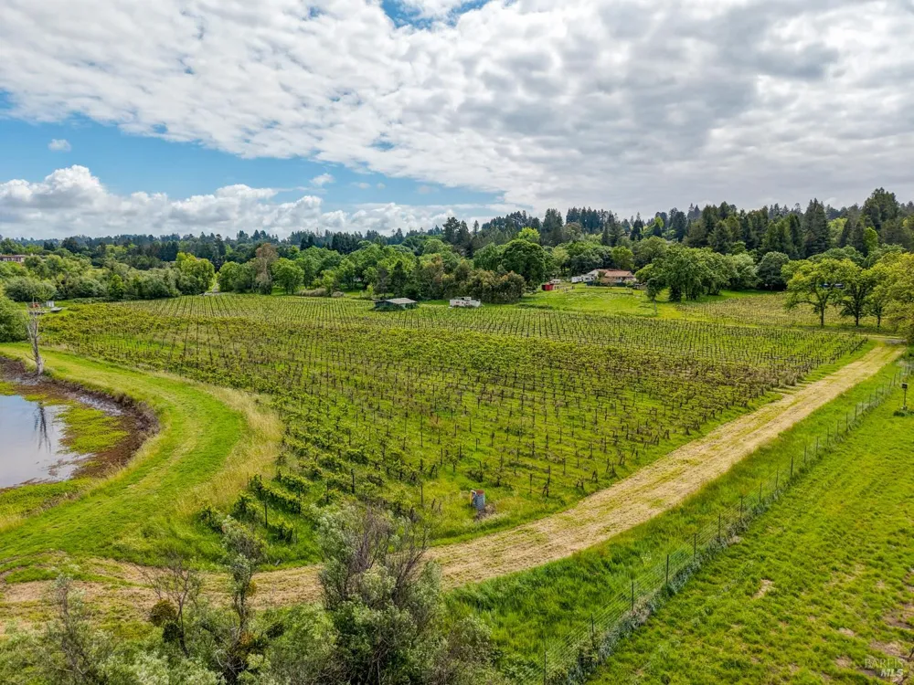 9700 Mill Station Road Sebastopol, CA 95472
