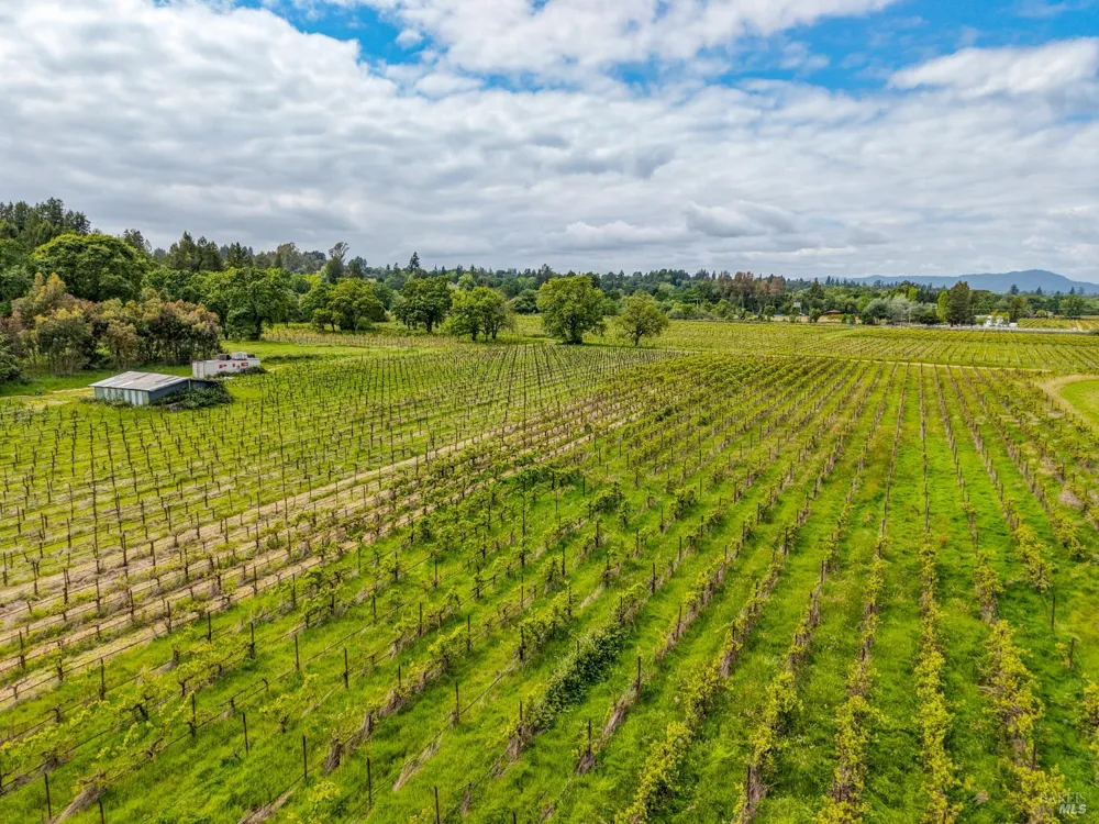 9700 Mill Station Road Sebastopol, CA 95472