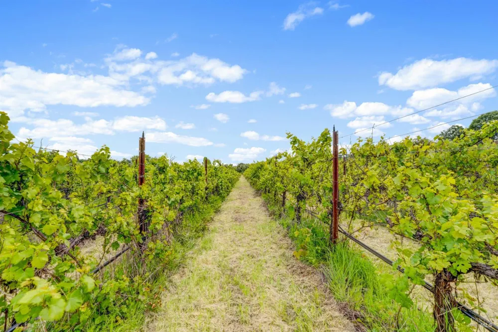9700 Mill Station Road Sebastopol, CA 95472