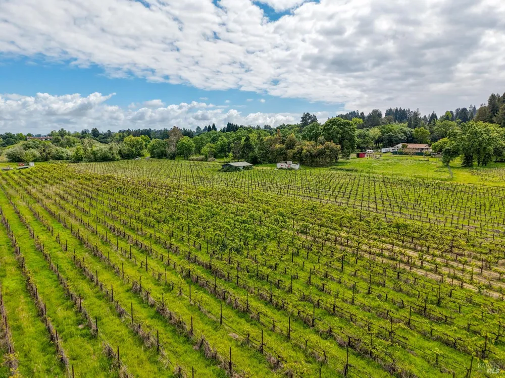 9700 Mill Station Road Sebastopol, CA 95472