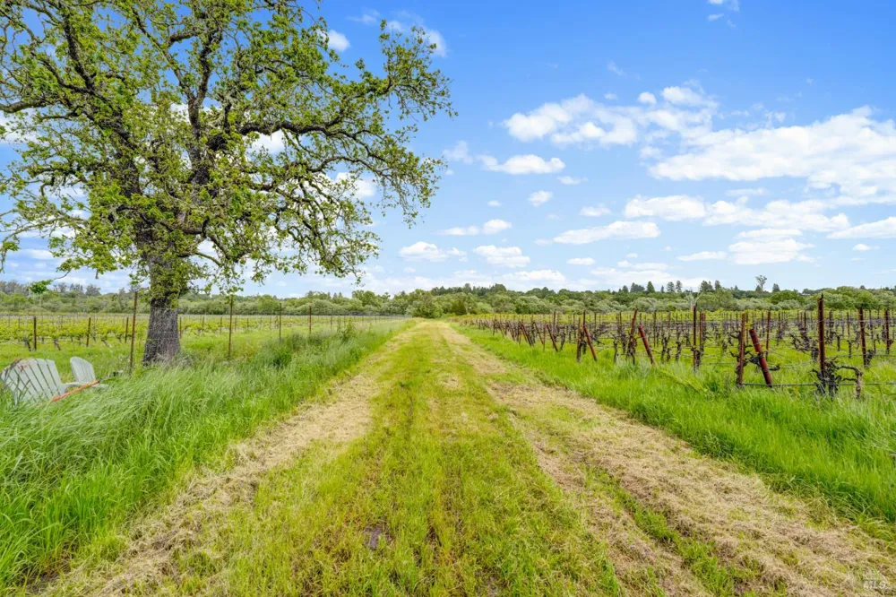 9700 Mill Station Road Sebastopol, CA 95472