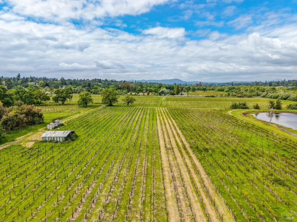 9700 Mill Station Road Sebastopol, CA 95472