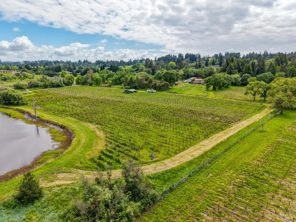 9700 Mill Station Road Sebastopol, CA 95472