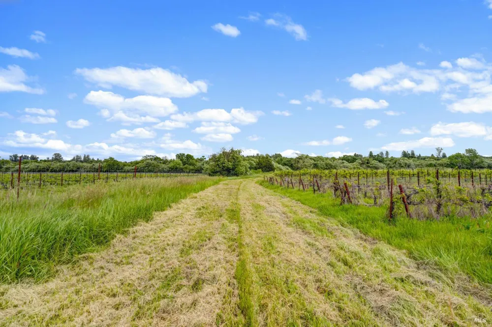 9700 Mill Station Road Sebastopol, CA 95472