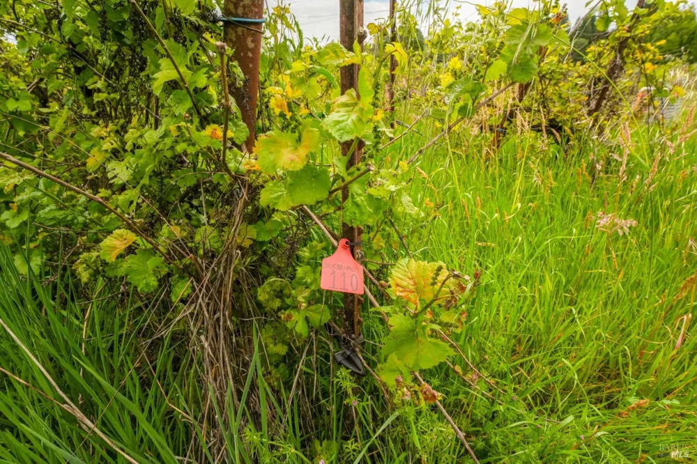 9700 Mill Station Road Sebastopol, CA 95472
