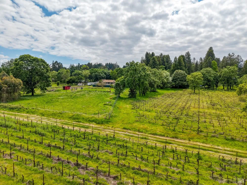 9700 Mill Station Road Sebastopol, CA 95472
