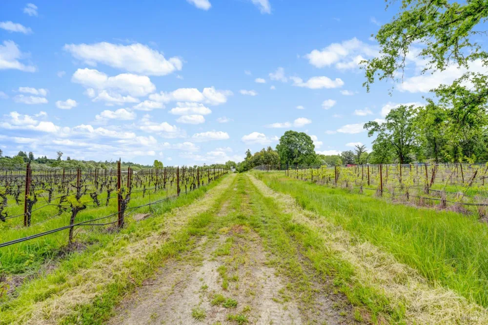 9700 Mill Station Road Sebastopol, CA 95472