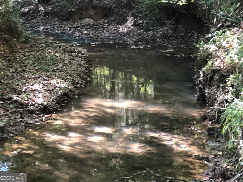 LOT #10 26.88 acres Triune Mill RD Thomaston, GA 30286