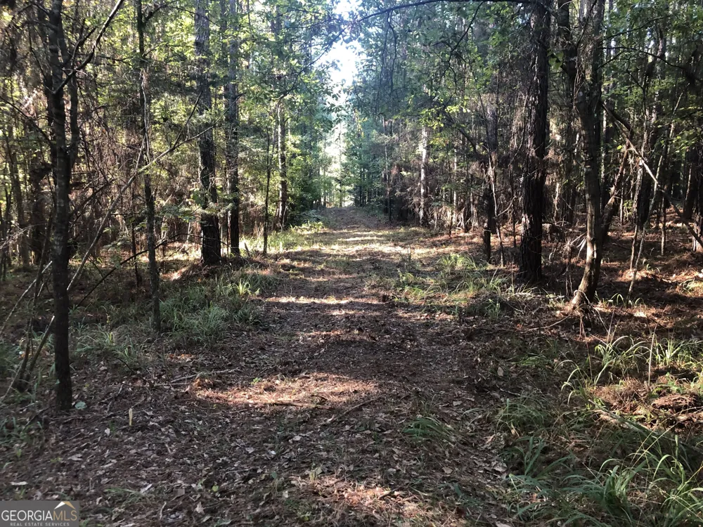 LOT #10 26.88 acres Triune Mill RD Thomaston, GA 30286