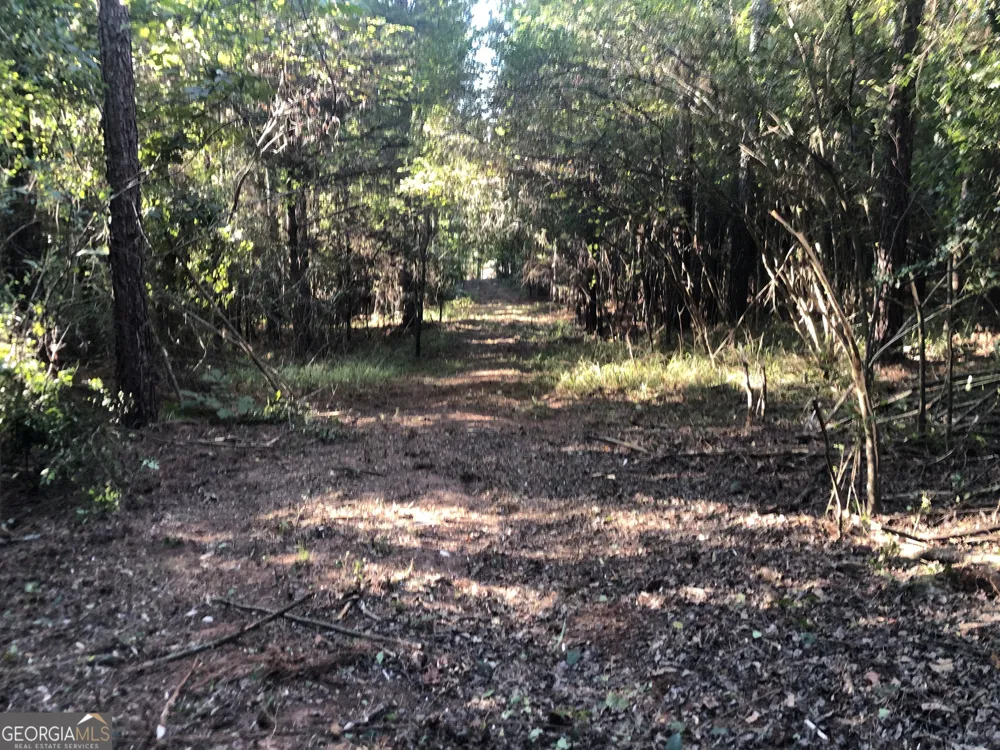 LOT #10 26.88 acres Triune Mill RD Thomaston, GA 30286