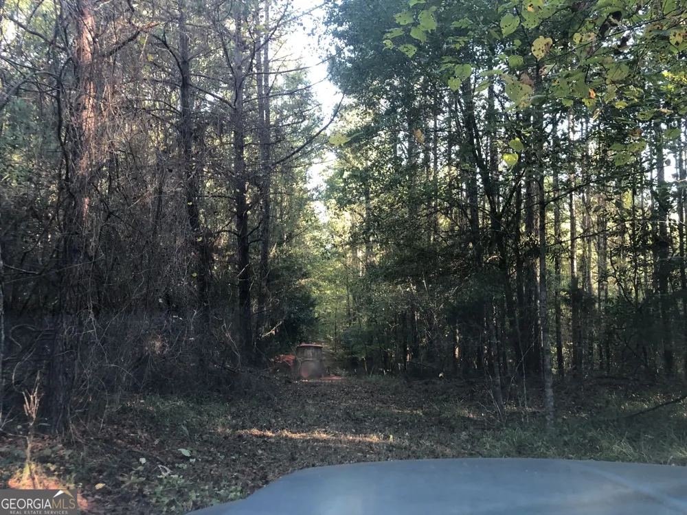 LOT #10 26.88 acres Triune Mill RD Thomaston, GA 30286