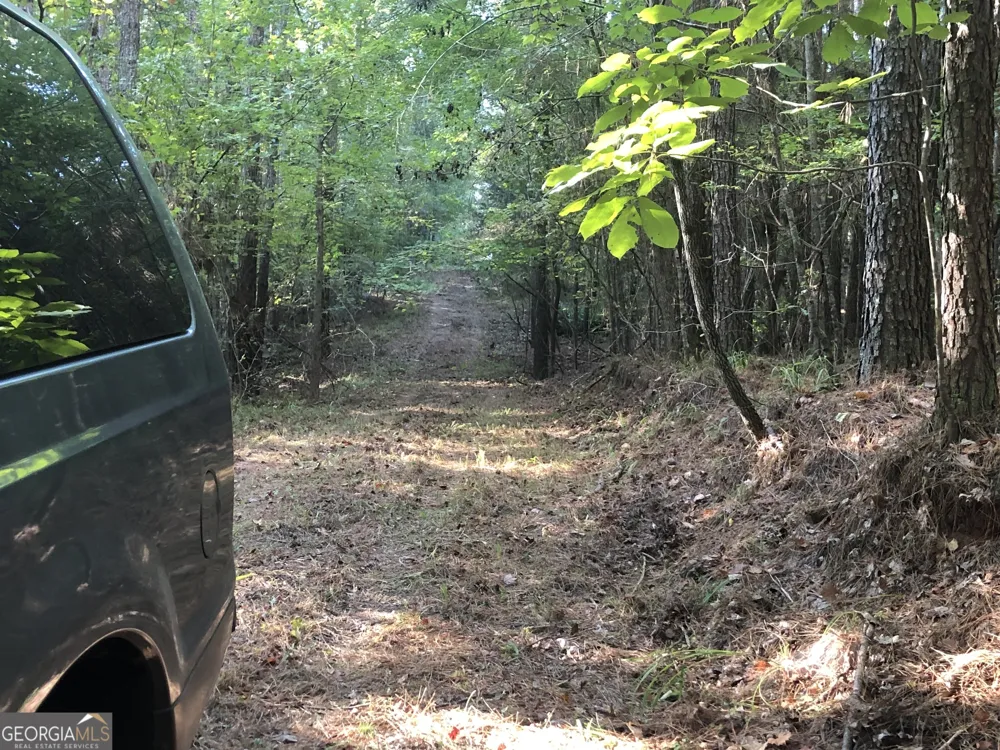 LOT #10 26.88 acres Triune Mill RD Thomaston, GA 30286