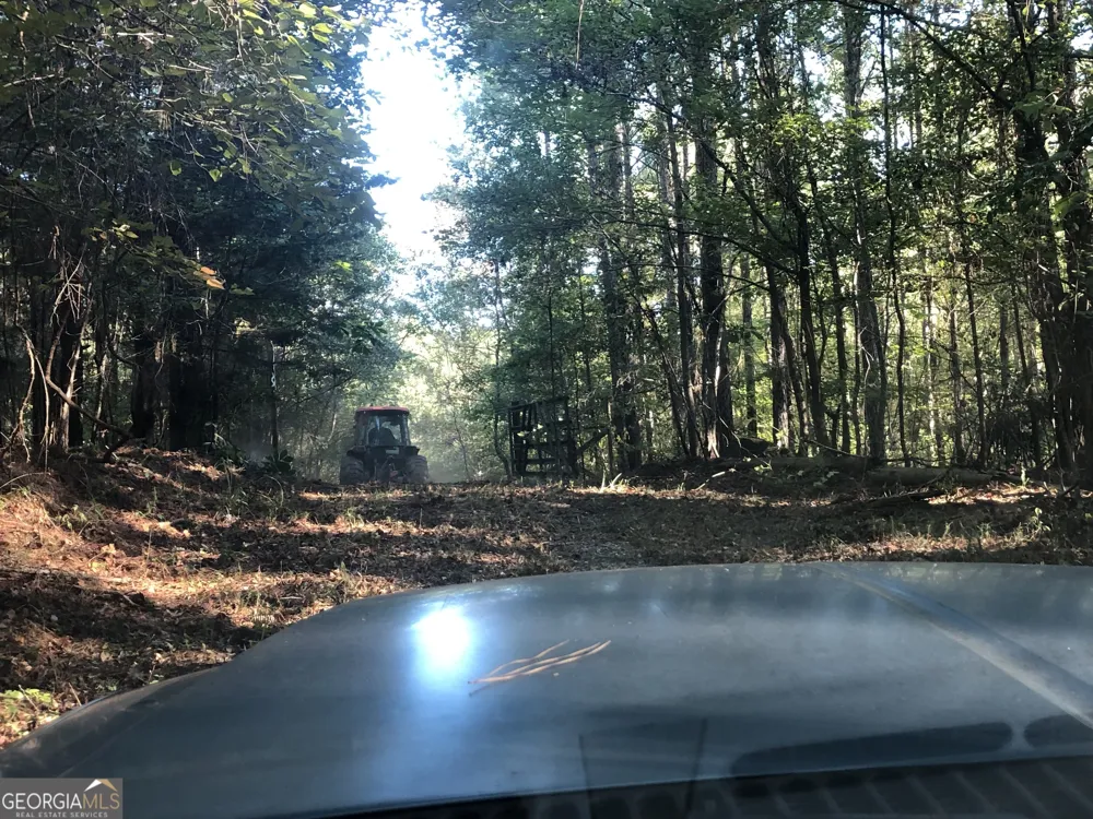 LOT #10 26.88 acres Triune Mill RD Thomaston, GA 30286