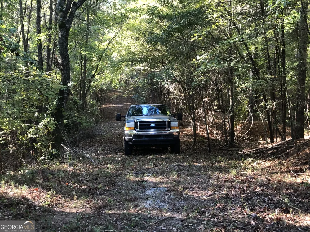 LOT #10 26.88 acres Triune Mill RD Thomaston, GA 30286