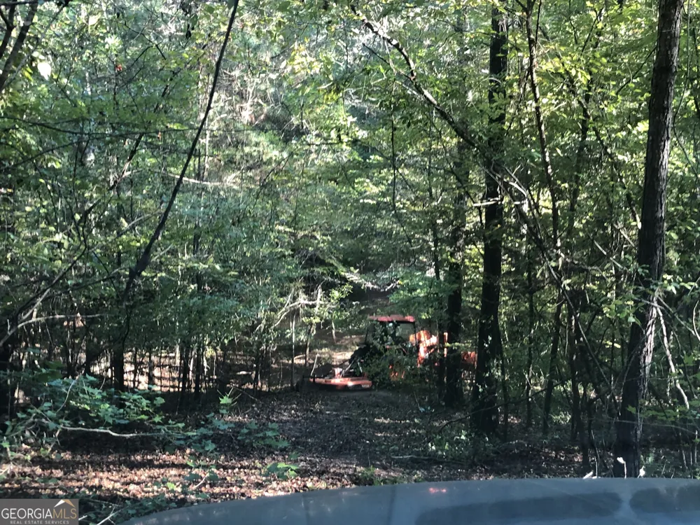 LOT #10 26.88 acres Triune Mill RD Thomaston, GA 30286