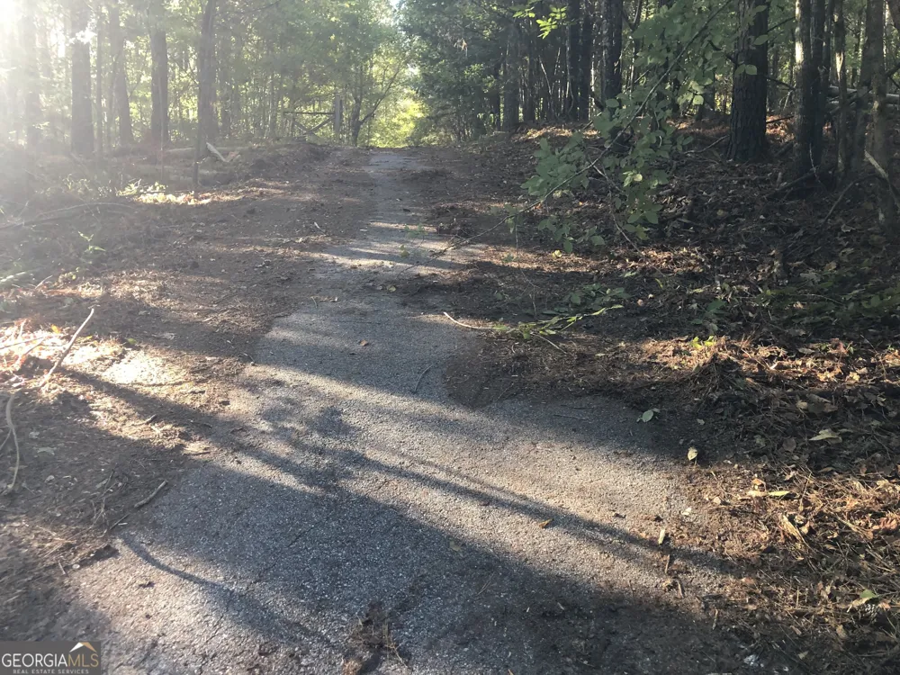 LOT #10 26.88 acres Triune Mill RD Thomaston, GA 30286