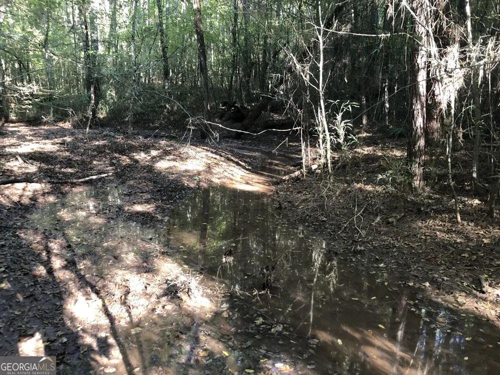 LOT #10 26.88 acres Triune Mill RD Thomaston, GA 30286