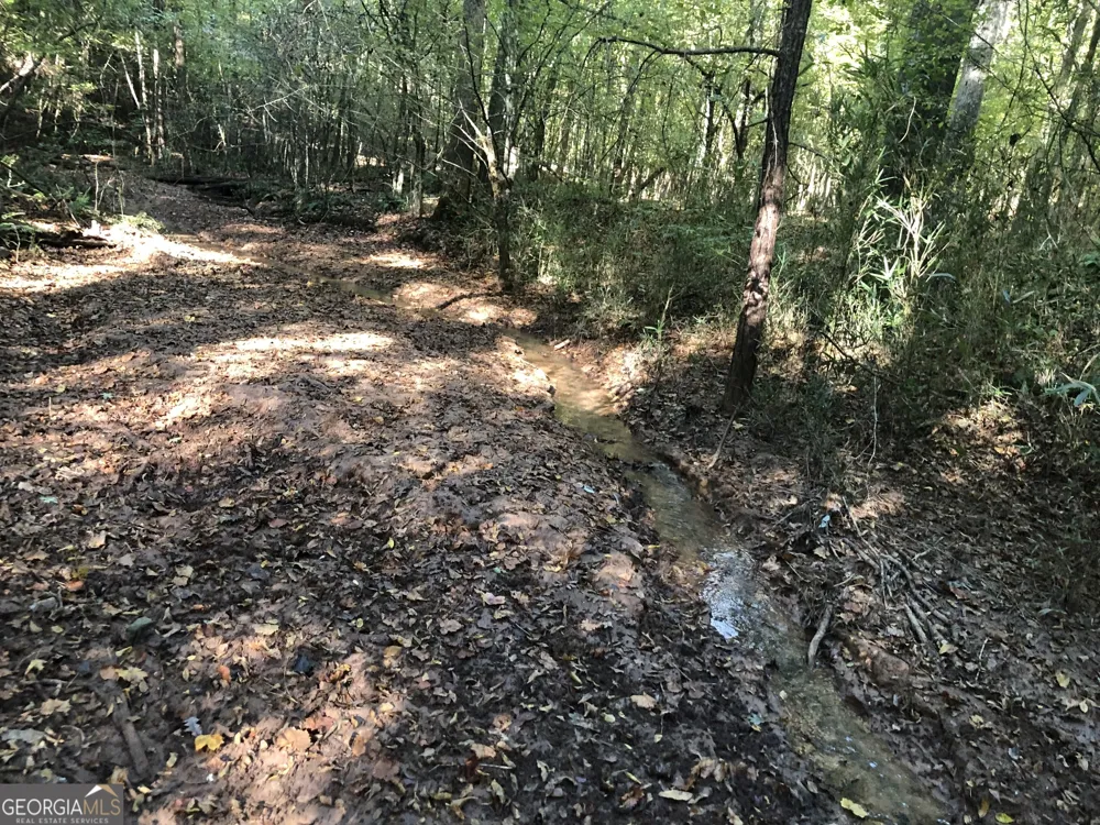 LOT #10 26.88 acres Triune Mill RD Thomaston, GA 30286