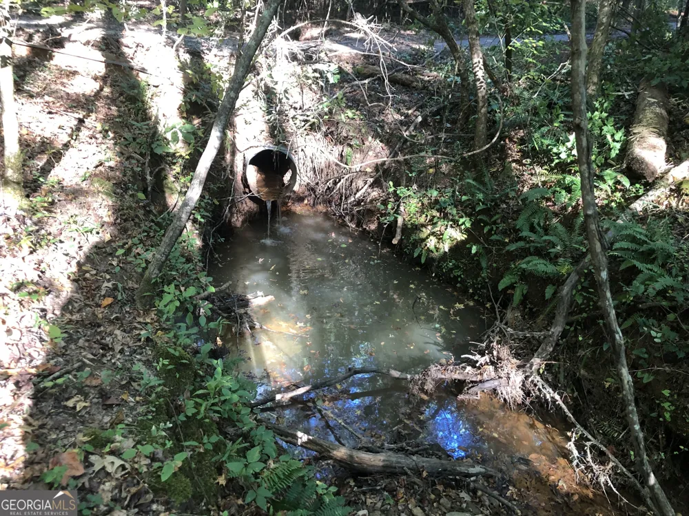 LOT #10 26.88 acres Triune Mill RD Thomaston, GA 30286