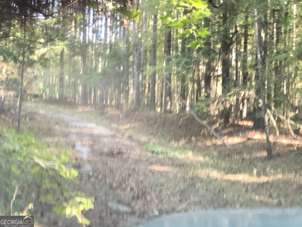LOT #10 26.88 acres Triune Mill RD Thomaston, GA 30286